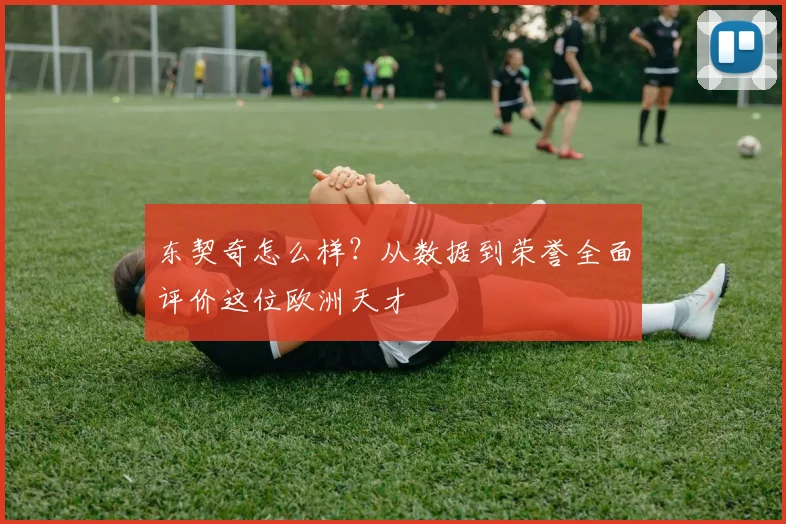 东契奇怎么样？从数据到荣誉全面评价这位欧洲天才