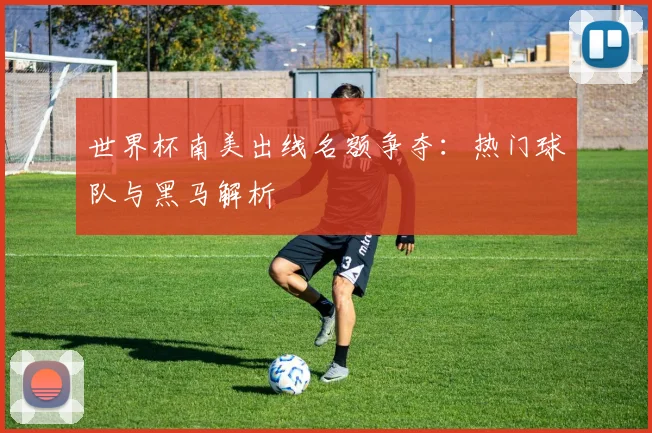 世界杯南美出线名额争夺:热门球队与黑马解析