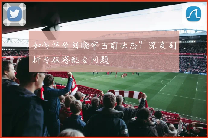 如何评价刘晓宇当前状态？深度剖析与双塔配合问题