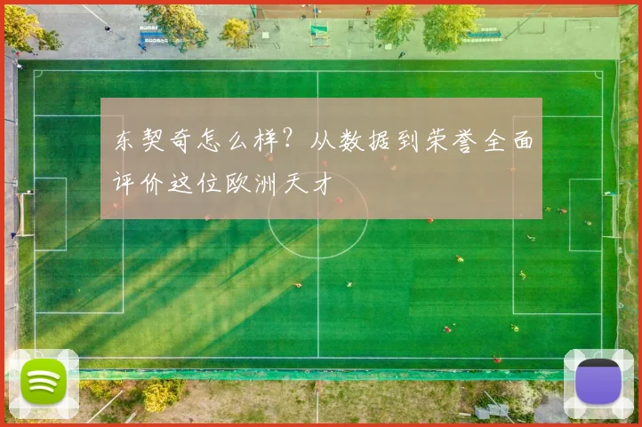 东契奇怎么样？从数据到荣誉全面评价这位欧洲天才